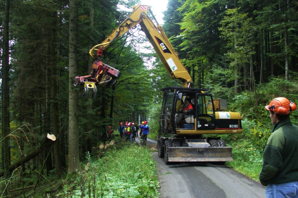 Maienfeld, Bildungszentrum Wald