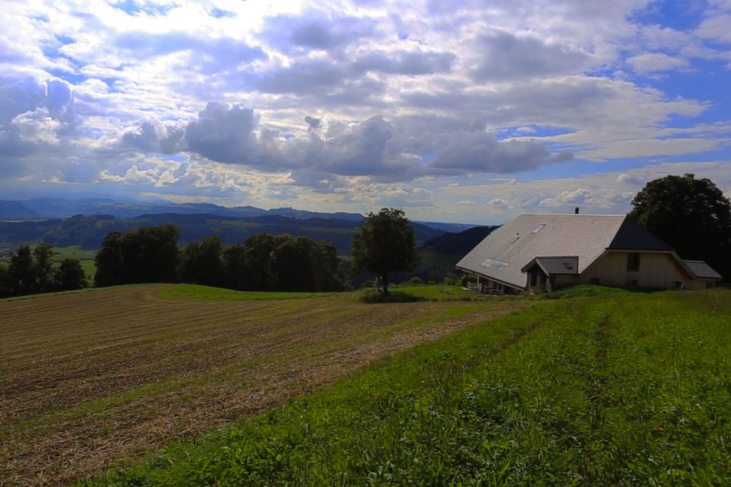 Gebäudeaufnahme Bauernhaus, Utzigen